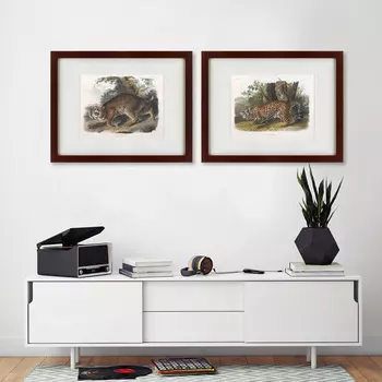 Коллекция Jaguars (47х60 см - 2 шт)