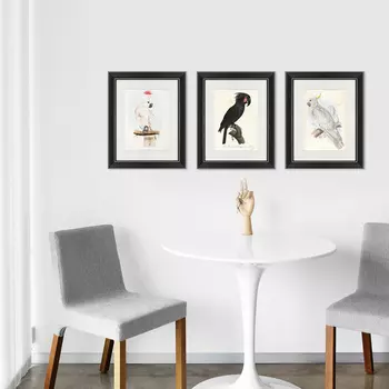 Коллекция Какаду (42х52 см - 3 шт)