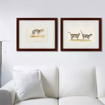 Коллекция Le Chat Sauvage (42х52 см - 2 шт)