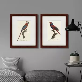 Коллекция Perruche a Chaperon bleus (42х52 см - 2 шт)