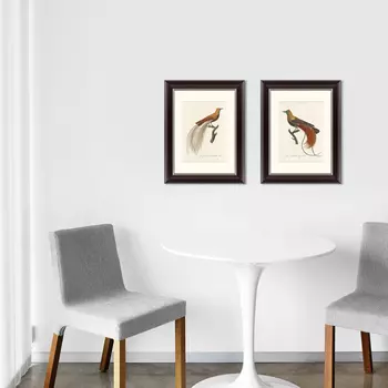 Коллекция Райские птицы Новой Гвинеи (35х45 см - 2 шт)