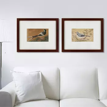 Коллекция The Birds (42х52 см - 2 шт)