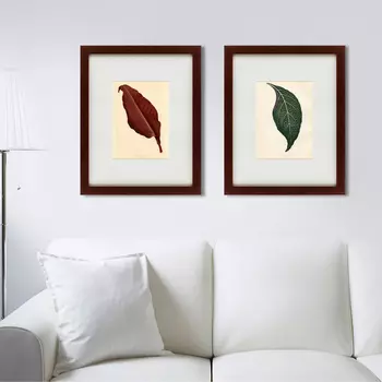 Коллекция The leafs (42х52 см - 2 шт)