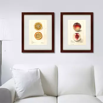 Коллекция Watercolor collection, drawing №2 (42х52 см - 2 шт)