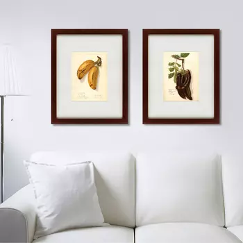 Коллекция Watercolor collection, drawing (42х52 см - 2 шт)