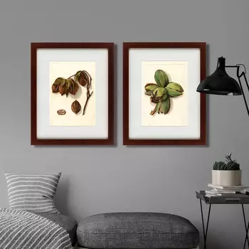 Коллекция Watercolor collection, drawing №4 (42х52 см - 2 шт)