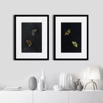Коллекция Zwei schmetterlinge (32х42 см - 2 шт)