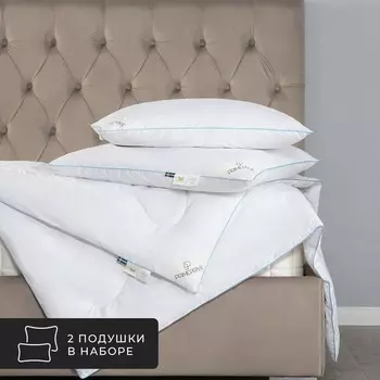 Комплект из 2 подушек Linen, льняное волокно в хлопковом тике (70х70 - 2 шт)