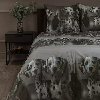 Комплекты постельного белья Amore Mio