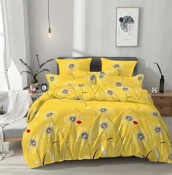 Комплекты постельного белья Цветные сны