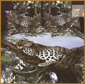 Комплекты постельного белья KARVEN