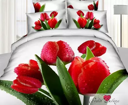Комплекты постельного белья Tango