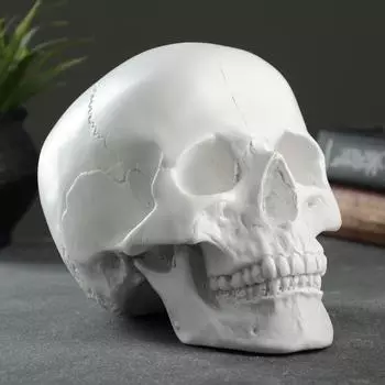 Копилка Череп цвет: белый (22х15х16 см)