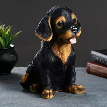 Копилка Щенок Ротвейлера (23х19х28 см)