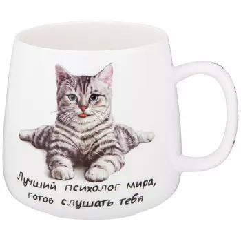 Кружка Бери кота (400 мл)