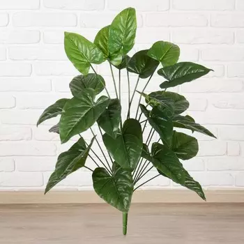 Куст Эластика (70 см)