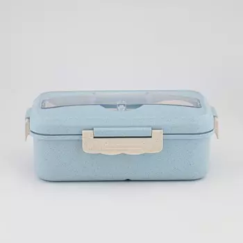 Ланч-бокс (800 мл)