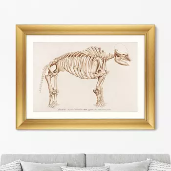 Mamoth, 1849г. (61х81 см)