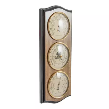 Метеостанция Daunte (30 см)