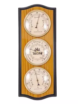 Метеостанция Debby (30 см)