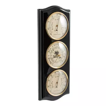 Метеостанция Rosanne (3х13х30 см)