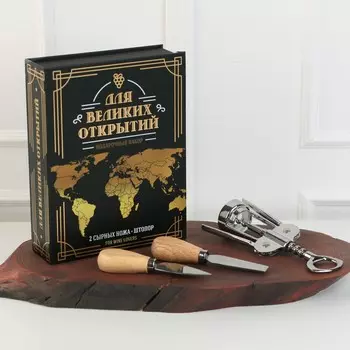 Набор для вина Для великих открытий (22х16 см)