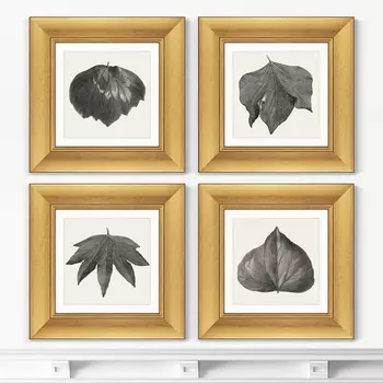 Набор из 4-х картин The Ivy leaves, 1884г. (36х36 см - 4 шт)