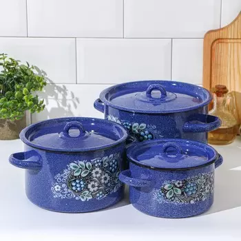 Набор кастрюль Голубика (Набор)