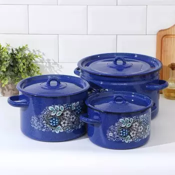 Набор кастрюль Голубика (Набор)