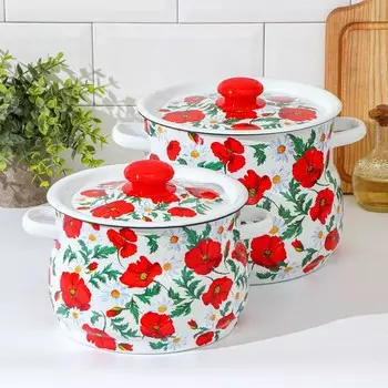 Набор кастрюль Маки сибирские (Набор)