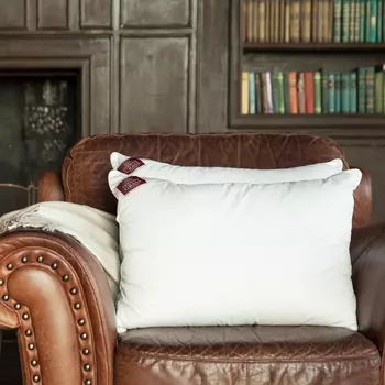 Чехол для подушки Memory down цвет: сливочно-белый (50х68 (1 шт))