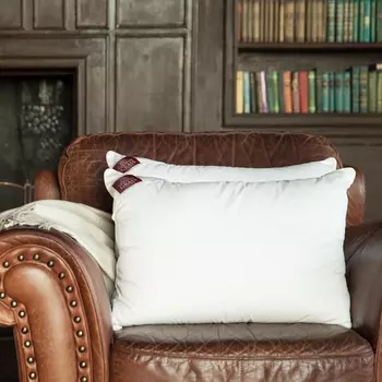 Чехол для подушки Memory tencel цвет: сливочно-белый (50х68 (1 шт))