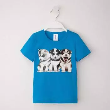 Футболка детская Хаски Цвет: Бирюзовый (18-24 мес)