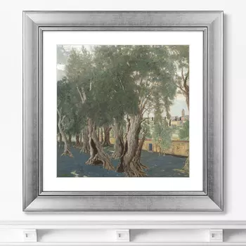 Olive Grove, 1914г. (61х61 см)