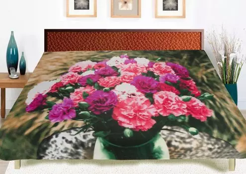 Пледы и покрывала Guten Morgen