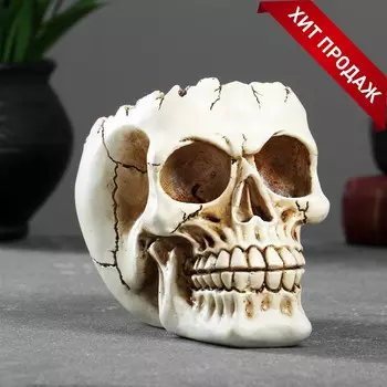 Подставка Череп (14х10х11 см)