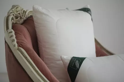 Подушки ANNA FLAUM