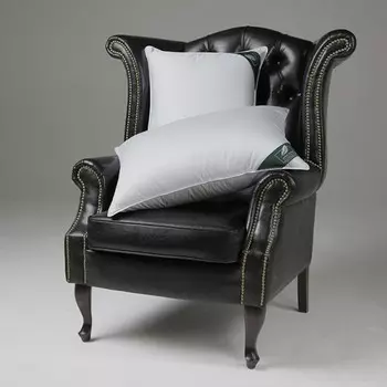 Подушки ANNA FLAUM