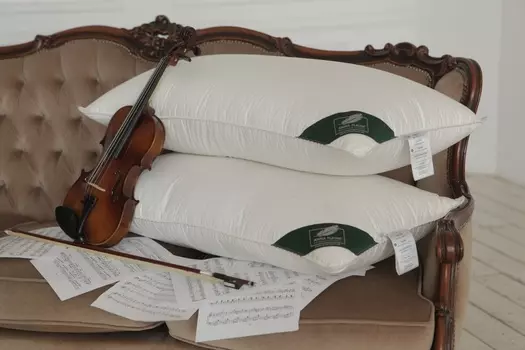 Подушки ANNA FLAUM