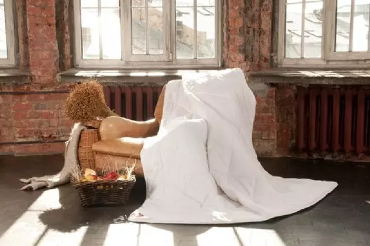 Покрывала, подушки, одеяла Prinz and Prinzessin