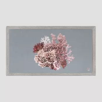 Полотенца Togas