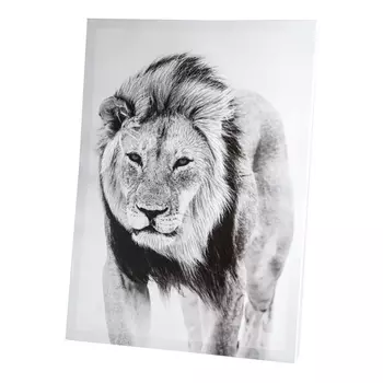 Постер Лев (50х3х70 см)