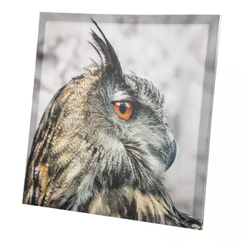 Постер Сова (50х2х50 см)