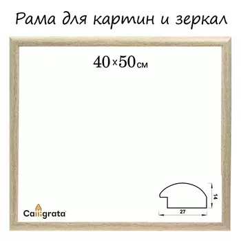 Рама для картин (55х45х2 см)