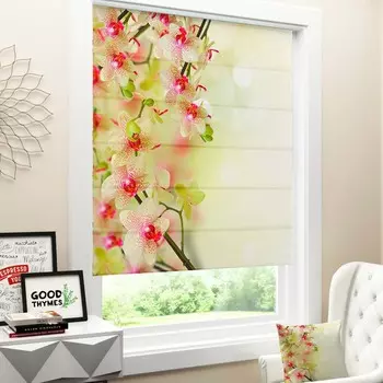 Римские и рулонные шторы Олимп Текстиль