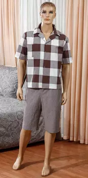 Рубашка Boris Цвет: Коричневый (xxxL)