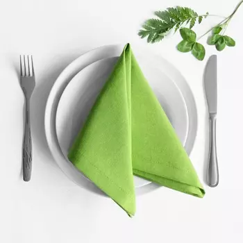 Салфетка Билли цвет: зеленый (38х38 см - 4 шт)