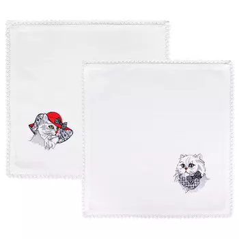 Салфетки Aisha (40х40 см - 2 шт)