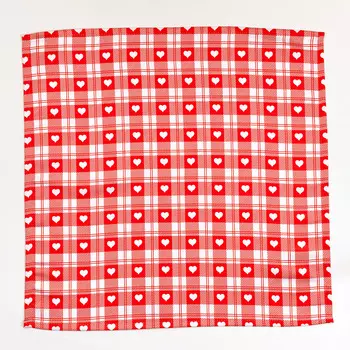 Салфетки Красная Клетка Макси (40х40 см - 2 шт)