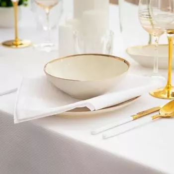 Салфетки Shine цвет: белый (45х45 см - 4 шт)